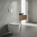 DeerValley Wall-Hung Elongated Dual-Flush Toilet with Soft-Close Seat, Glossy White Ceramic